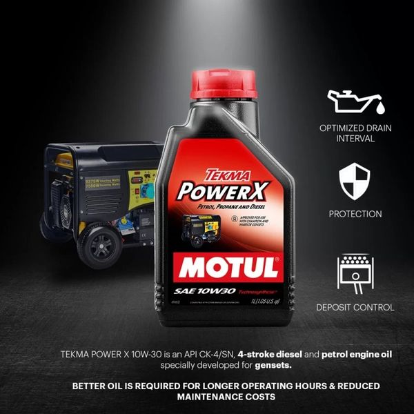 Масло CHAMPION MOTUL Tekma Power X SAE 10W30 (1L) CHAMPION Tekma Power X SAE 10W30 (1L) фото